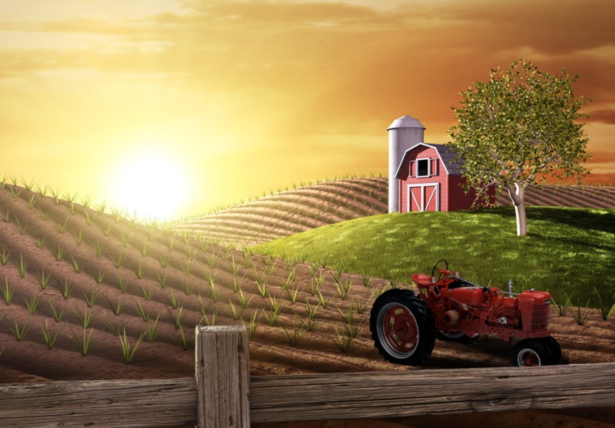 What Happened to FarmVille? The Rise and Fall of Facebook’s Farming&nbsp;Phenomenon